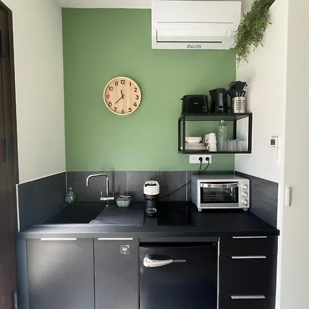 Apartment Renove Avec Terrasse & Jardin Proche Gare Grenoble